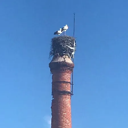 アパート Amalia In オリョン